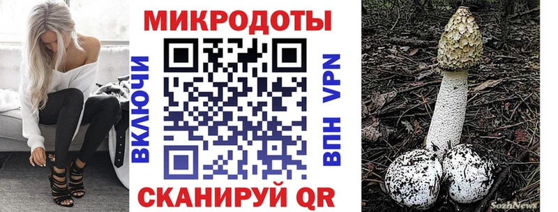 Псилоцибиновые грибы ЛСД  darknet официальный сайт  Пустошка  ссылка на мегу как войти 